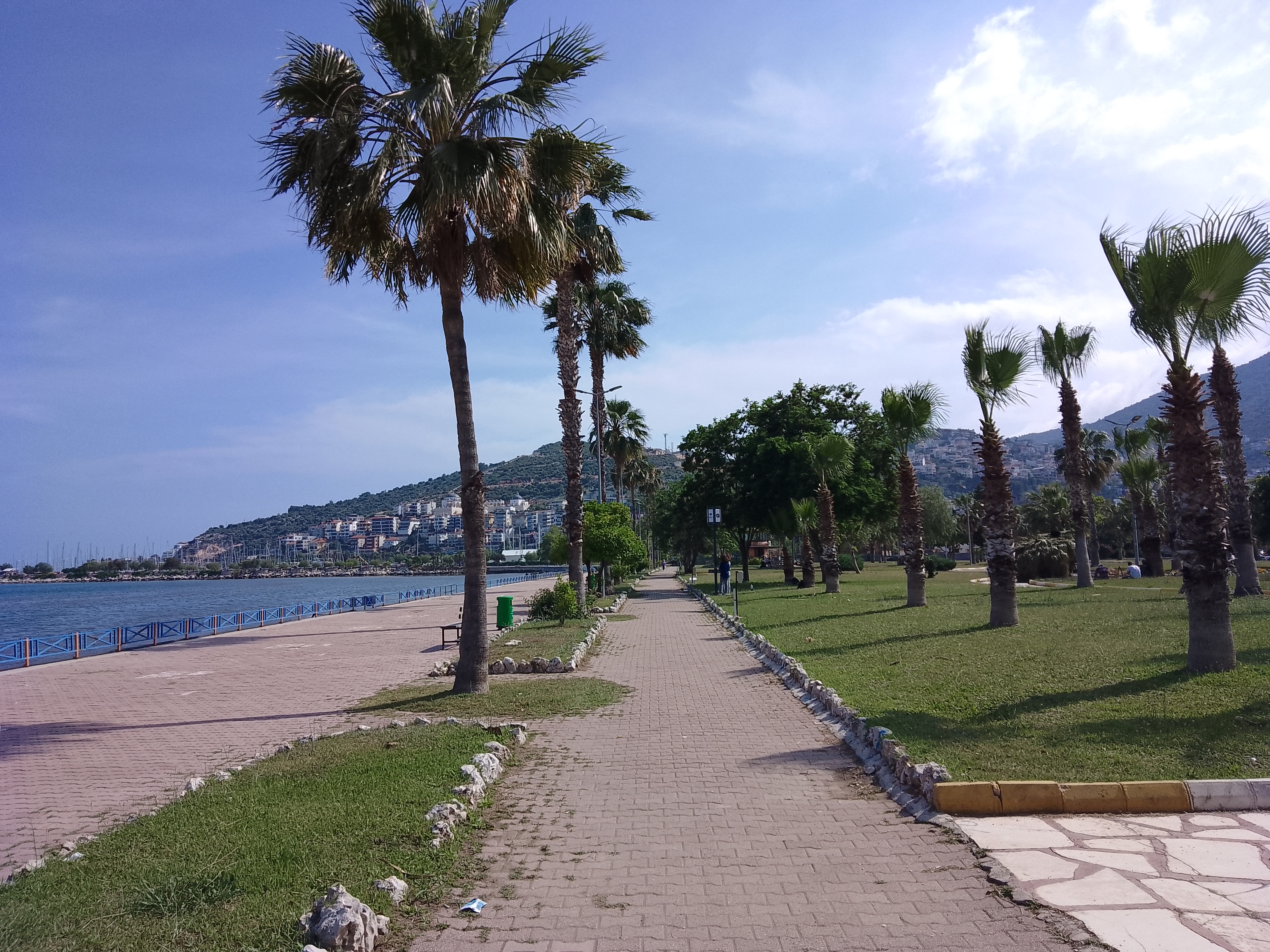 финике квартира на море